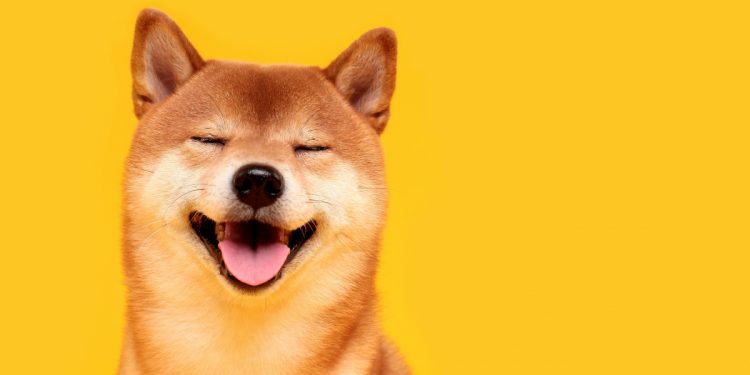 Mã thông báo Shiba Inu trở thành một trong những mã thông báo được mua nhiều nhất trong 24 giờ qua