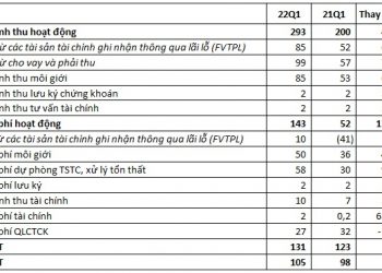 Mảng cho vay ký quỹ và tự doanh tăng trưởng tốt, Chứng khoán Rồng Việt (VDSC) báo lãi sau thuế hơn 105 tỷ trong quý 1/2022 - Ảnh 1.