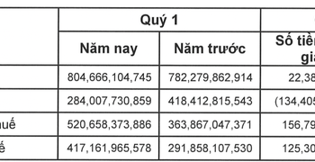Mảng môi giới thắng lớn, Chứng khoán Bản Việt (VCSC) báo lãi quý 1 tăng 43% so với cùng kỳ - Ảnh 1.