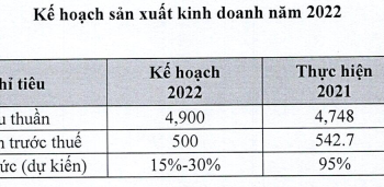 May Sông Hồng (MSH) trình phương án chi trả cổ tức năm 2021 tổng tỷ lệ 95%, muốn đưa con gái Chủ tịch vào HĐQT - Ảnh 1.