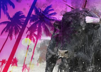 ViMoney: Miami tiết lộ tượng "Bullish" liên quan đến tiền điện tử