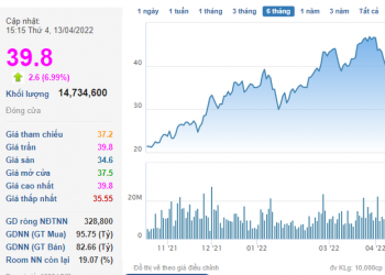 Liên tục lướt sóng, nhóm quỹ Dragon Capital mua thêm 1 triệu cổ phiếu DXG - Ảnh 1.