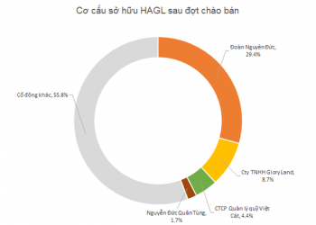 ViMoney: Một doanh nghiệp "bí ẩn" sẽ rót 1.000 tỷ mua cổ phiếu HAGL