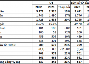 Năm giữ hơn 12.000 tỷ đồng tiền mặt và tiền gửi, FPT Telecom (FOX) báo lãi quý 1/2022 tăng 22% - Ảnh 1.