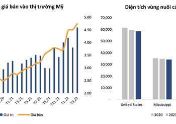 ViMoney Triển vọng Ngành cá tra năm 2022: Tiêu điểm "nữ hoàng" VHC và "tay chơi" mới ANV