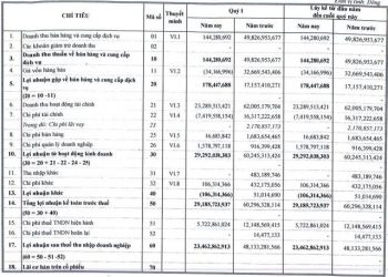 Nhà Đà Nẵng (NDN) bán sạch cổ phiếu FLC, DGC, mua mạnh MBB trong quý 1/2022 - Ảnh 1.