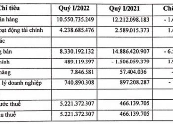 Đầu tư CMC: Nhờ bán cổ phiếu, quý 1 lãi 5,2 tỷ đồng – vượt luôn chỉ tiêu lợi nhuận của cả năm 2022 - Ảnh 1.