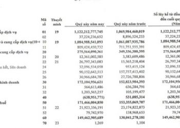Nhựa Tiền Phong (NTP): Nhờ lãi liên kết, quý 1 lợi nhuận tăng 15% so với cùng kỳ - Ảnh 1.