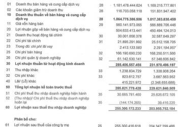 Nhu cầu tiêu thụ tăng cao trong tình hình dịch bệnh, Dược Hậu Giang (DHG) báo lãi quý 1 đạt hơn 255 tỷ đồng - Ảnh 1.