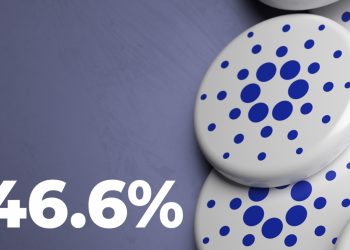 Những chiếc ví lớn nhất của Cardano một lần nữa sở hữu Phần lớn nhất trong Nguồn cung ADA trong 2 năm: 46,6%