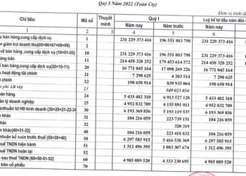 PJC báo lãi quý 1/2022 hoàn thành 27% kế hoạch năm - Ảnh 1.