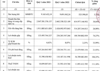 PV Gas D (PGD) báo lãi quý 1/2022 gấp đôi cùng kỳ, đạt gần 88 tỷ đồng - Ảnh 1.