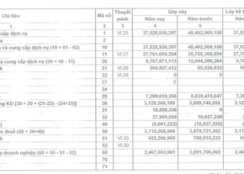 PV Power Services (PPS) báo lãi ròng quý 1/2022 giảm gần 20% - Ảnh 1.