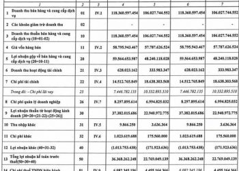 Phát triển Điện lực Việt Nam (VPD) báo lãi quý 1 tăng 65% so với cùng kỳ, hoàn thành hơn 26% kế hoạch năm - Ảnh 1.
