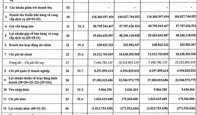 Phát triển Điện lực Việt Nam (VPD) báo lãi quý 1 tăng 65% so với cùng kỳ, hoàn thành hơn 26% kế hoạch năm - Ảnh 1.