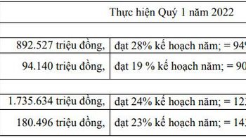 Phú Tài (PTB) ước lãi trước thuế quý 1/2022 tăng 43%, cổ phiếu đi ngược thị trường lập đỉnh mới - Ảnh 1.