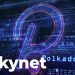 ViMoney: Polkadot hiện hỗ trợ SDK của Skynet. Tại sao điều này là quan trọng?