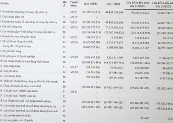 Sau quý 4/2021 có lãi, Vận tải biển Phương Đông (NOS) trở lại báo lỗ 29 tỷ đồng trong quý 1/2022 - Ảnh 1.