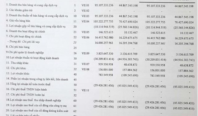 Sau quý 4/2021 có lãi, Vận tải biển Phương Đông (NOS) trở lại báo lỗ 29 tỷ đồng trong quý 1/2022 - Ảnh 1.
