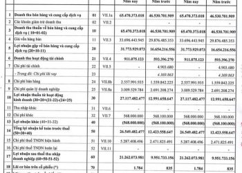 Cơ khí và Khoáng sản Hà Giang (HGM): Quý 1 lãi 21 tỷ đồng cao gấp 2 lần cùng kỳ - Ảnh 1.