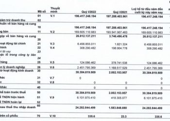 Một doanh nghiệp bất ngờ báo lãi quỹ 1/2022 cao gấp 15 lần cùng kỳ - Ảnh 1.