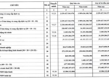Nhiệt điện Hải Phòng (HND): Quý 1 lãi 258 tỷ đồng trong khi cùng kỳ thua lỗ - Ảnh 1.