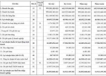 CNG Việt Nam: Quý 1 lãi 36 tỷ đồng cao gấp 2,4 lần cùng kỳ - Ảnh 1.