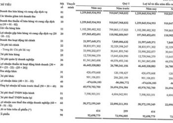 Dệt may TNG báo lãi quý 1/2022 tăng trưởng 74% so với cùng kỳ - Ảnh 1.