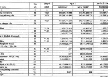 Một doanh nghiệp cảng biển báo lãi quý 1/2022 cao gấp 12 lần cùng kỳ - Ảnh 1.