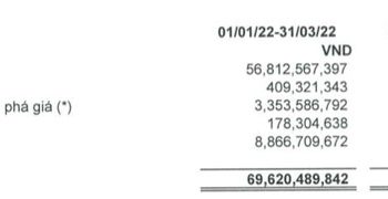 Thực phẩm Sao Ta (FMC): Lợi nhuận quý 1 tăng trưởng 36% so với cùng kỳ nhờ tăng doanh số tiêu thụ và dự trữ nguyên liệu - Ảnh 1.