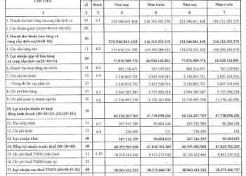 Cảng Đồng Nai (PDN): Quý 1 lãi 50 tỷ đồng, tăng 32% so với cùng kỳ - Ảnh 1.