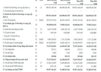 Ngành hàng không trên đà phục hồi hậu COVID, Noibai Cargo (NCT) ghi nhận lãi quý 1 tăng trưởng 17% so với cùng kỳ - Ảnh 1.
