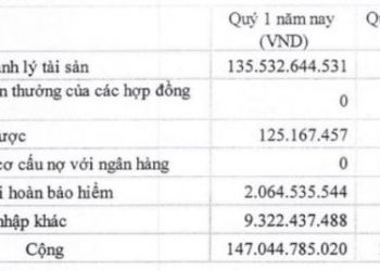 Tổng công ty Hàng hải Việt Nam (MVN): Quý I lãi 689 tỷ đồng, tăng 102% so với cùng kỳ - Ảnh 1.