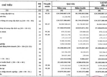 Xuất nhập khẩu Sa Giang (SGC): Quý 1 lãi cao kỷ lục gần 20 tỷ đồng - Ảnh 1.