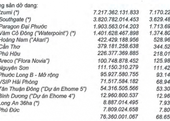 Đầu tư Nam Long (NLG): Quý 1 lãi sau thuế 33 tỷ đồng giảm 91% so với cùng kỳ - Ảnh 1.