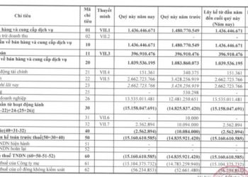 Hakinvest (HKB): Quý 1 lỗ tiếp 15 tỷ đồng – quý thứ 9 liên tiếp thua lỗ - Ảnh 1.