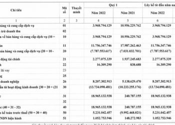 Bọc ống Dầu khí Việt Nam (PVB) thoát lỗ ròng trong quý 1/2022 nhờ hoàn nhập dự phòng - Ảnh 1.