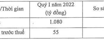 Pinaco (PAC): Quý 1 ước lãi 55 tỷ đồng, đi ngang so với cùng kỳ năm ngoái - Ảnh 1.