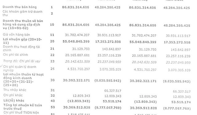 Nedi 2 (ND2): Quý 1/2022 lãi 29 tỷ đồng trong khi cùng kỳ thua lỗ - Ảnh 1.