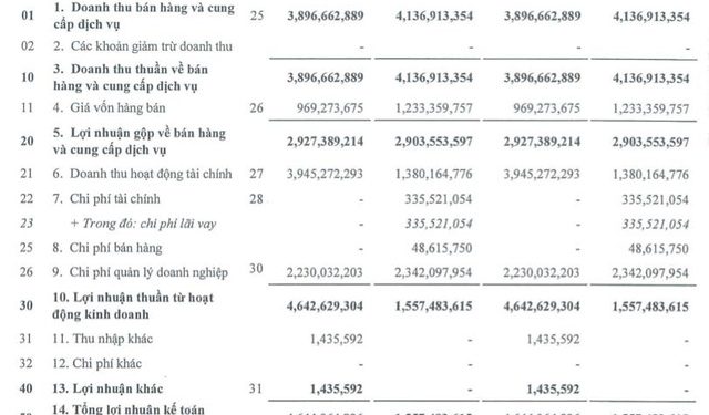 Fideco (FDC): Quý 1/2022 lãi 3,7 tỷ đồng, cao gấp 3 lần cùng kỳ - Ảnh 1.
