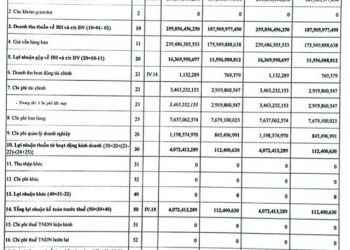 Đầu tư TDG Global (TDG): Quý 1/2022 lãi 4 tỷ đồng tăng mạnh so với cùng kỳ - Ảnh 1.