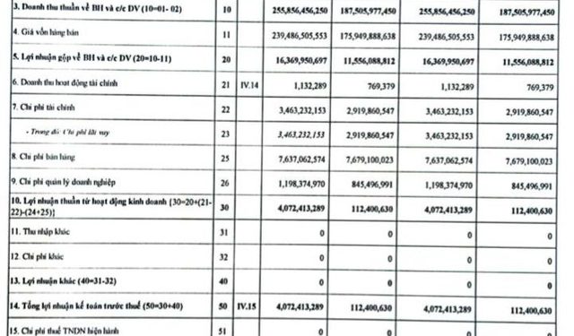 Đầu tư TDG Global (TDG): Quý 1/2022 lãi 4 tỷ đồng tăng mạnh so với cùng kỳ - Ảnh 1.