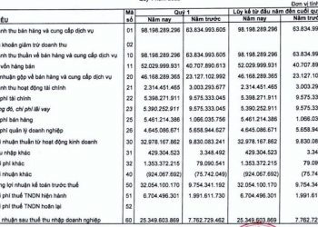 Quý đầu tiên sau khi lên sàn Upcom, Sonadezi Giang Điền (SZG) báo lãi tăng gấp hơn 3 lần cùng kỳ - Ảnh 1.