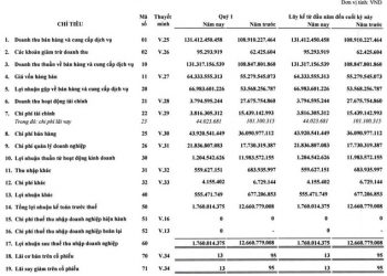 SASCO (SAS) báo lợi nhuận quý 1/2022 chỉ bằng 1/7 cùng kỳ do khoản thu từ cổ tức được chia sụt giảm - Ảnh 1.