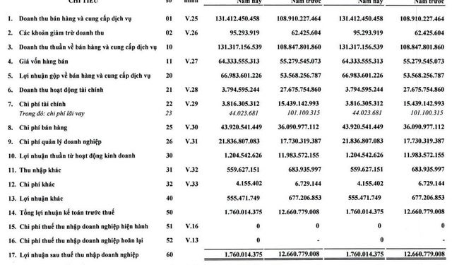 SASCO (SAS) báo lợi nhuận quý 1/2022 chỉ bằng 1/7 cùng kỳ do khoản thu từ cổ tức được chia sụt giảm - Ảnh 1.
