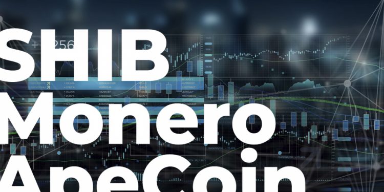 ViMoney: SHIB, Monero, ApeCoin tăng giá giữa thị trường đỏ lửa