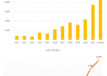 SSI đặt mục tiêu lợi nhuận trước thuế năm 2022 tăng 30% lên 4.370 tỷ đồng, doanh thu vượt 10.000 tỷ đồng - Ảnh 1.
