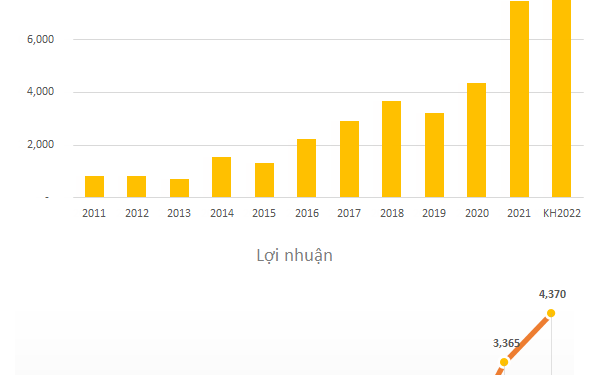 SSI đặt mục tiêu lợi nhuận trước thuế năm 2022 tăng 30% lên 4.370 tỷ đồng, doanh thu vượt 10.000 tỷ đồng - Ảnh 1.