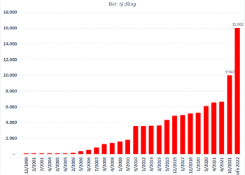 SSI lên kế hoạch chào bán riêng lẻ tăng vốn điều lệ lên gần 16.000 tỷ đồng, chia cổ tức 10% bằng tiền cho năm 2021 - Ảnh 1.