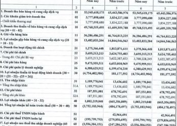Sá xị Chương Dương tiếp tục lỗ quý thứ 5 liên tiếp - Ảnh 1.